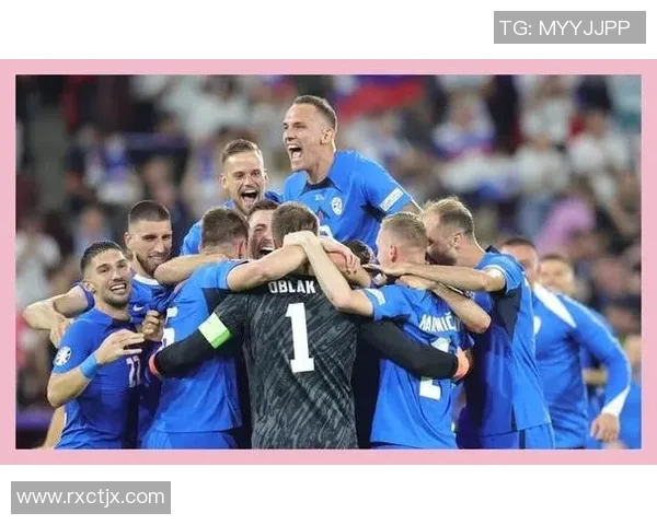 欧洲杯:斯洛文尼亚队黯然告别欧洲杯